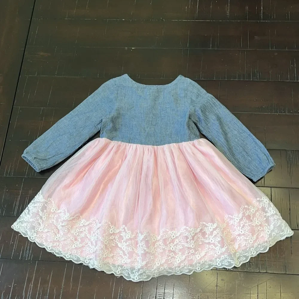 Carter's Baby girl 24mo dress bundle x2